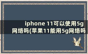 iphone 11可以使用5g网络吗(苹果11能用5g网络吗)